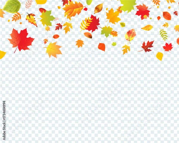Fototapeta Autumn Border With Colorful Leaves Transparent Background