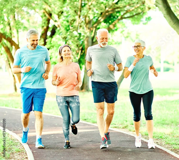 Fototapeta Smiling active senior people jogging together in the park