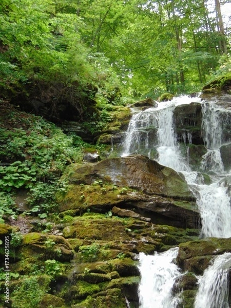 Obraz A beautiful natural waterfall cascades over mossy rocks in a lush green forest, creating a peaceful and refreshing atmosphere surrounded by vibrant foliage and flowing water