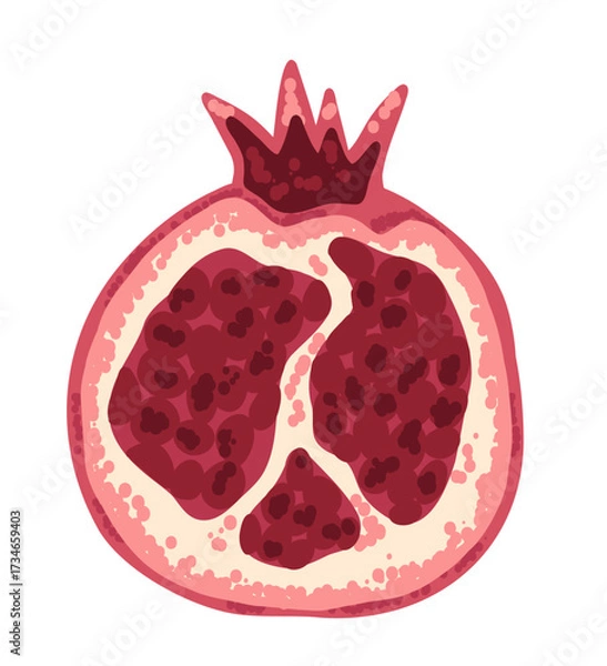 Fototapeta Half of pomegranate fruit with seeds in hand drawn flat style