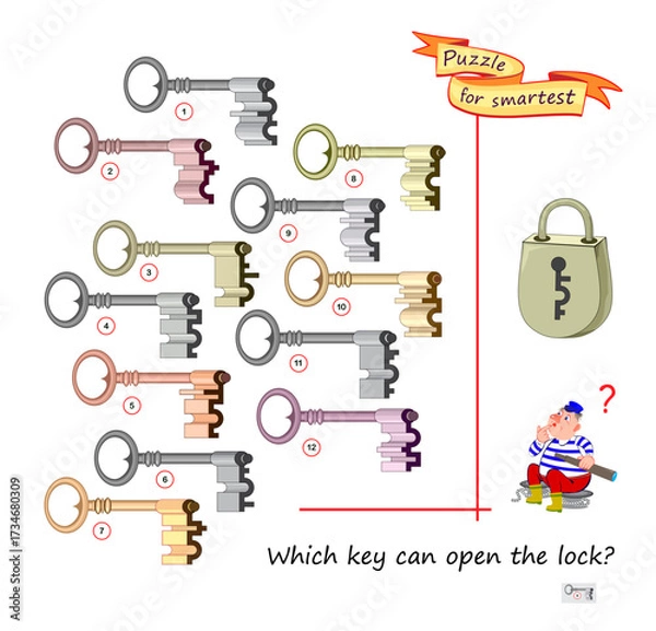 Fototapeta Which key can open the lock? Search and find game. Logic puzzle for children and adults. Develop spatial thinking. Printable page for brain teaser book. Flat vector illustration.