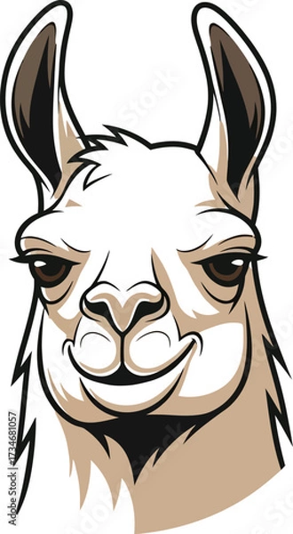 Fototapeta Cartoon llama head, funny expression, vector illustration