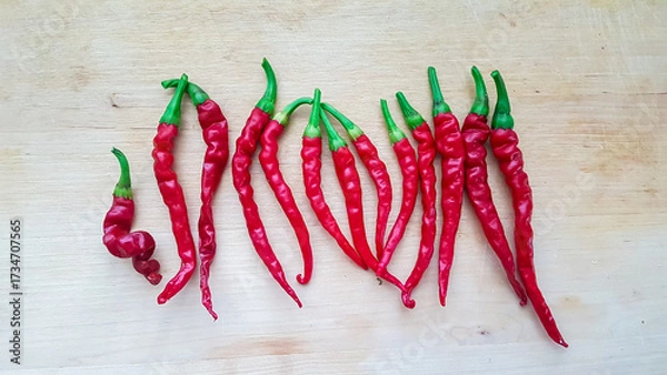 Obraz A vibrant harvest of freshly picked, hot red curly chili peppers are artfully arranged on a light wooden background, ready for cooking or drying in a home kitchen or for use in a restaurant.