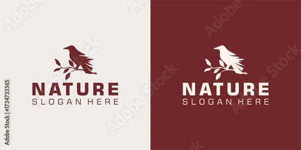 Fototapeta Classic Silhouette of Pigeon Dove Bird on Tree Branch for Nature 