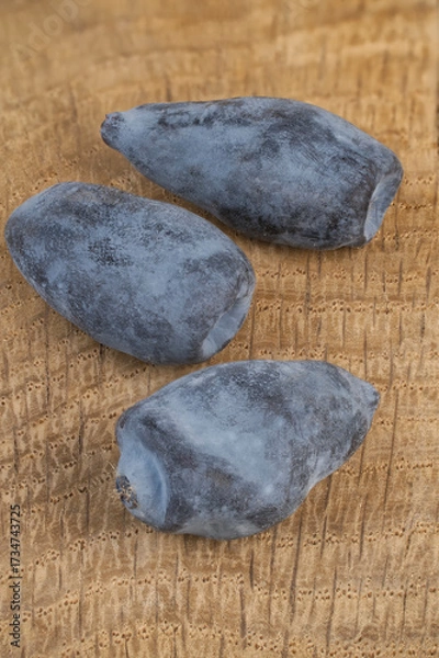 Obraz Lonicera caerulea berries