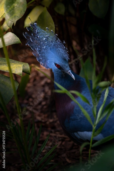 Obraz blue bird on a branch