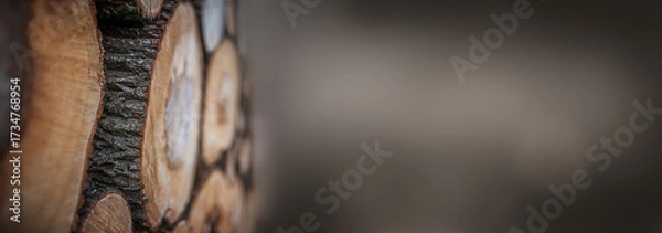 Fototapeta Close-up of cut tree stumps in forest with soft blurred background, natural rustic texture