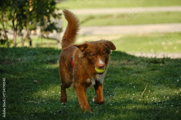 Fototapeta Generated image