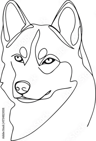 Fototapeta Single line drawing a husky dog face with alert eyes Continous line drawing animal