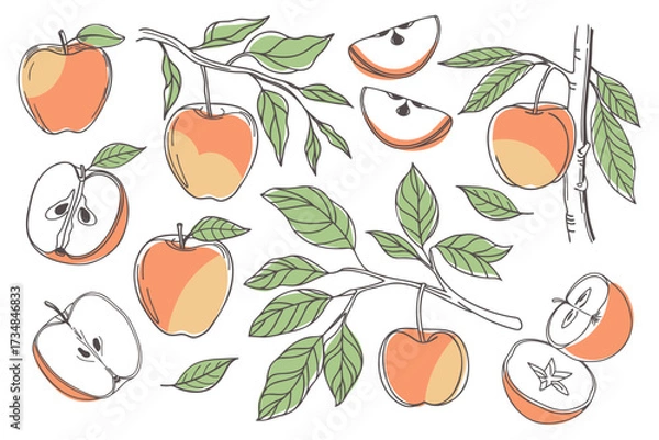 Fototapeta Set of hand drawn apples. Apple fruit set. Collection of apple sketches with colors. Illustration.