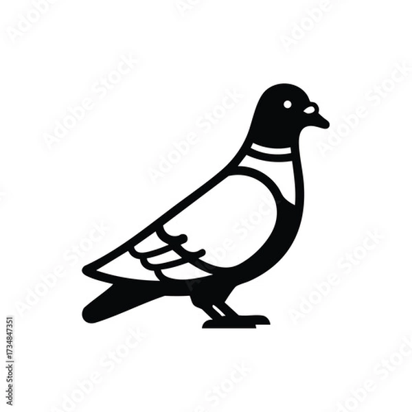 Obraz Stylized pigeon with clean lines and simple design, suitable for logos, apps, or projects emphasizing urban wildlife