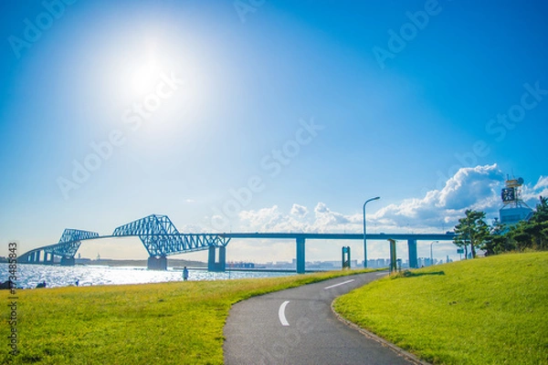 Obraz 東京ゲートブリッジ