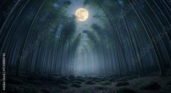Fototapeta Mysterious Bamboo Forest at Night Under Full Moon.