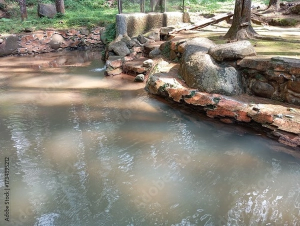 Obraz river in the forest