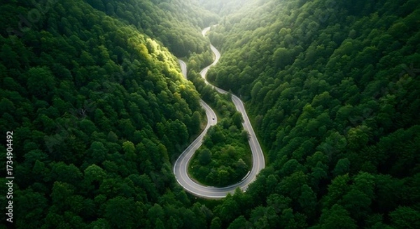 Obraz Aerial view of winding road through lush green forest with sunlight