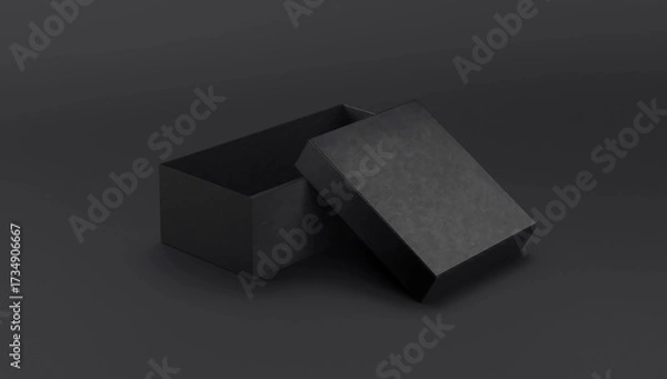 Fototapeta open and closed long box or casket