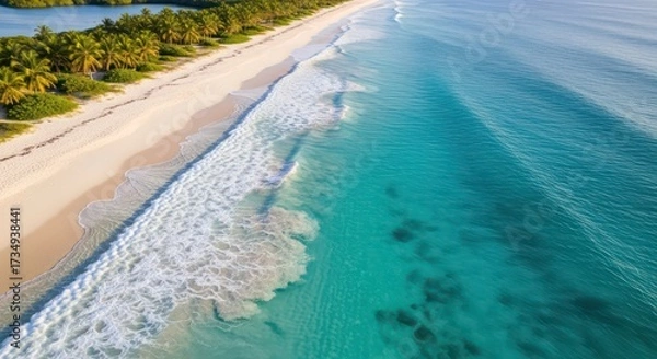 Fototapeta Aerial View of Tropical Beach with Turquoise Ocean and Lush Green Palm Trees.