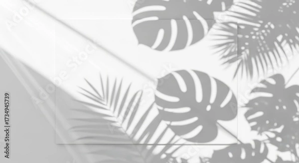 Fototapeta Monstera shadow overlay effect, with realistic summer sunlight tropical leaves shadows isolated on a clean white background, creating an authentic and beautiful natural light simulation.