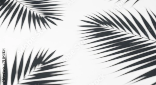 Fototapeta palm shadow overlay effect,realistic sunmmer sunlight tropical leaves shadows isolated on white
