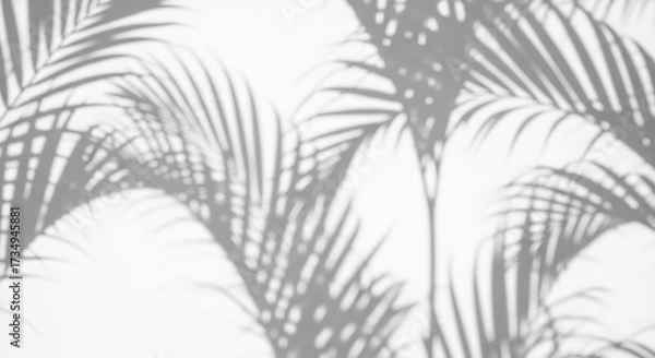 Fototapeta palm shadow overlay effect,realistic sunmmer sunlight tropical leaves shadows isolated on white