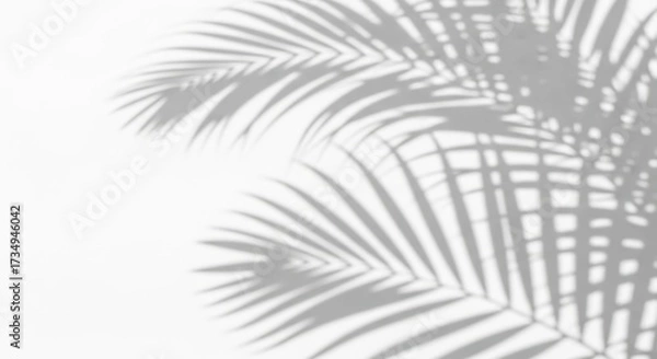 Fototapeta palm shadow overlay effect,realistic sunmmer sunlight tropical leaves shadows isolated on white