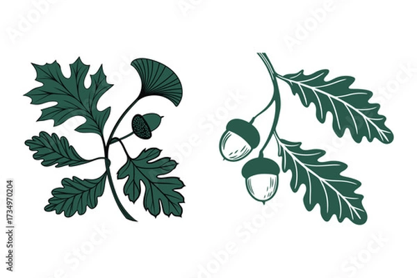 Fototapeta Vintage Botanical Leaf Set Featuring Oak, Maple, and Ginkgo Design