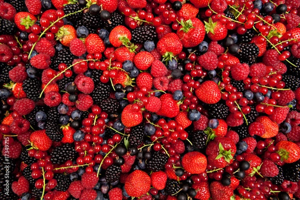 Fototapeta plenty of fresh mixed berries