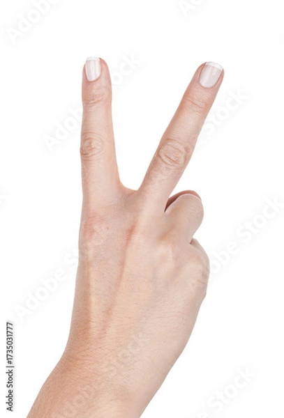 Fototapeta Female hand shows two fingers, closeup object. Isolated on transparent background