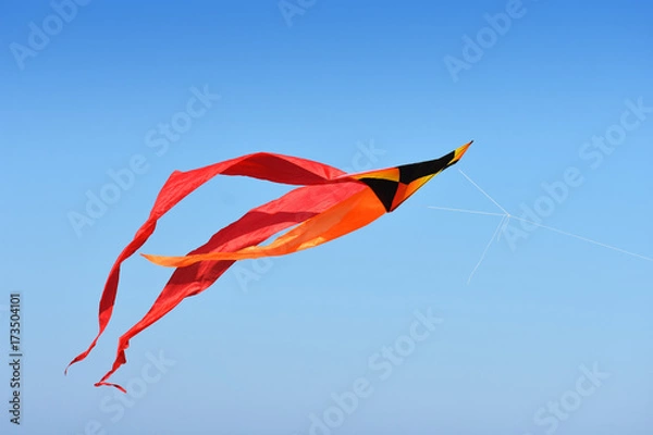 Fototapeta flying kite