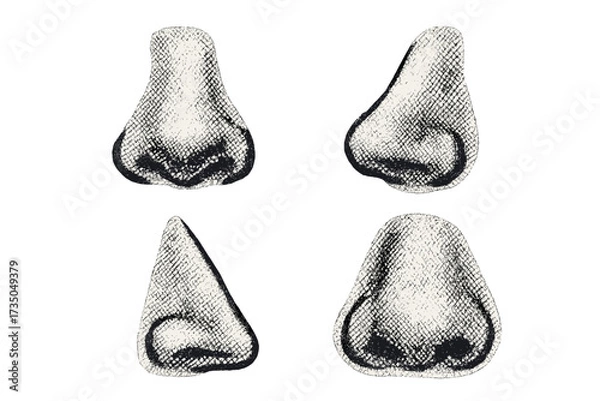 Fototapeta Vintage retro halftone noses set. Groovy mixed media collage elements with dotted pop art style. Different nose illustrations in grunge texture, vector design collection.