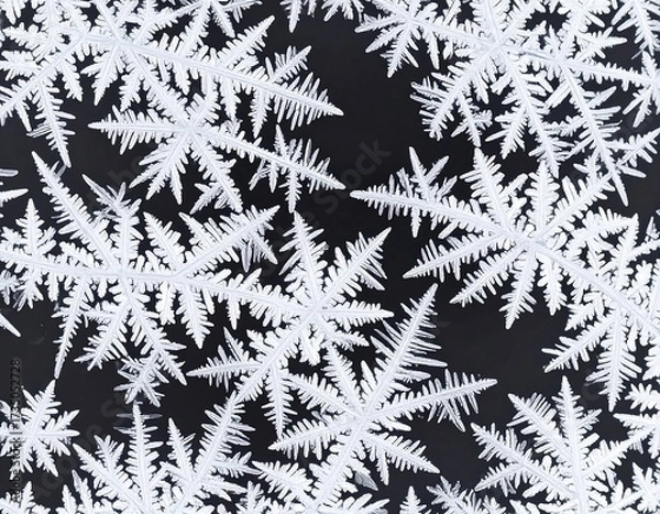 Fototapeta Close-up of intricate snowflake crystals