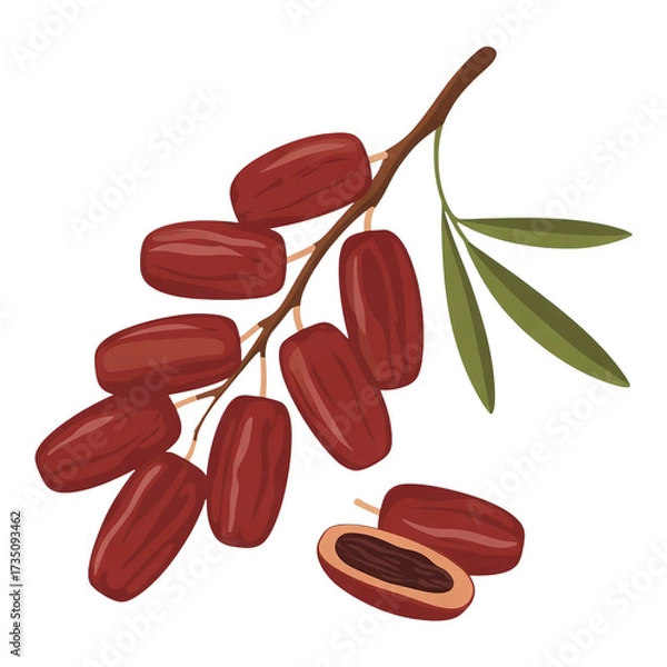 Obraz Palm’s Sweet Offering: Reddish-Brown Dates with Leaves and Exposed Seed Celebrating Nature’s Nourishment and Cultural Roots