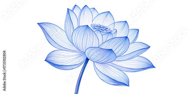 Fototapeta Elegant Blue Flower on White Background – High Quality Botanical Art