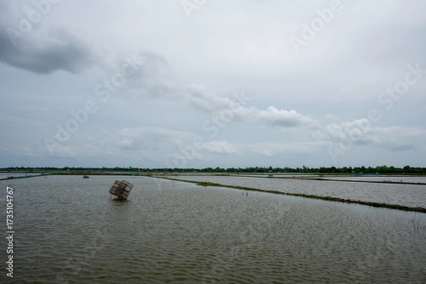 Obraz Shrimp farm