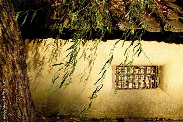 Obraz 西日に揺れる