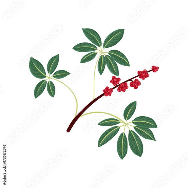 Fototapeta vector drawing umbrella tree branch with berries and green leaves isolated at white background, hand drawn illustration