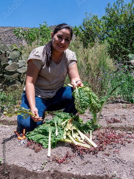 Fototapeta Woman Working in a Vegetable Garden, with Fresh Produce farm