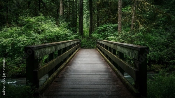 Obraz Wooden Bridge in Deep Forest