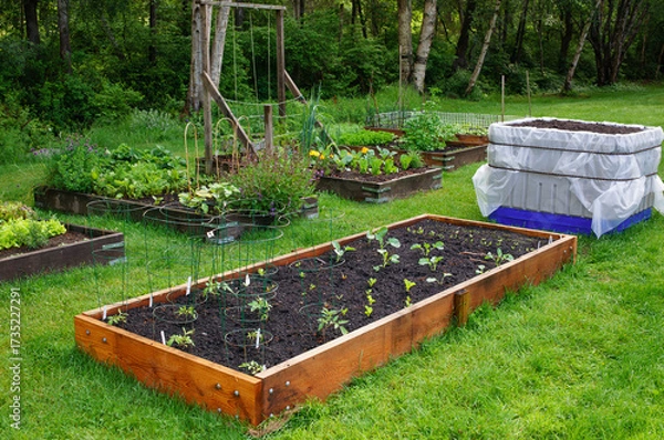 Obraz Community Garden