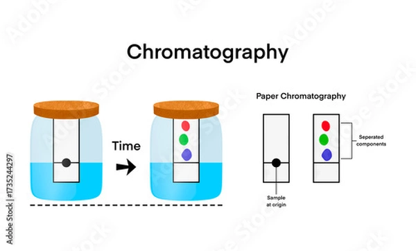 Fototapeta chromatography analytical method for the separation of a mixture into its individual components, Chromatography is a technique used to separate and analyze mixtures, infographic elements for design