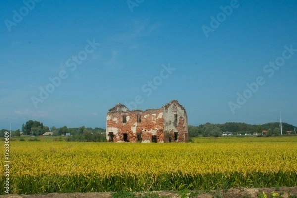Obraz cascina vercelli