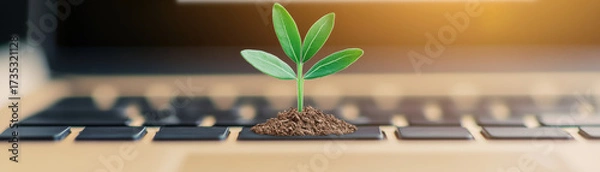 Fototapeta Small green plant growing from soil on laptop keyboard symbolizes growth, technology, and environmental sustainability in bright setting