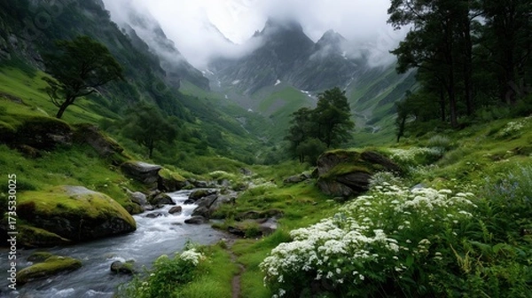 Fototapeta Lush green valley with a winding stream surrounded by foggy mountains and blooming flowers