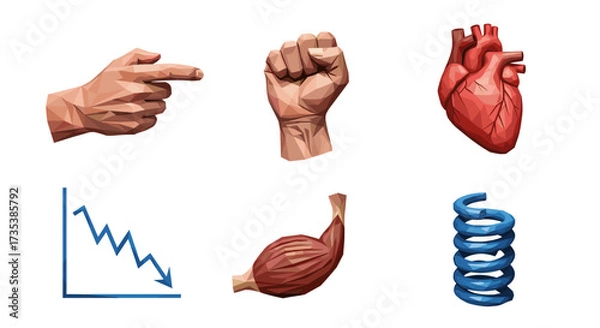 Fototapeta Vector art of set of icons representing direction, strength, health, and decline