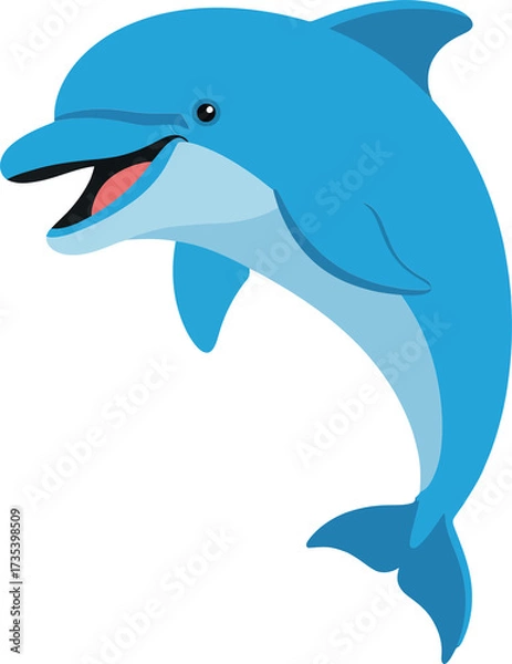 Obraz Dolphin Swimming