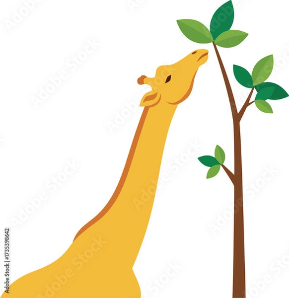 Obraz Giraffe Reaching for Leaves
