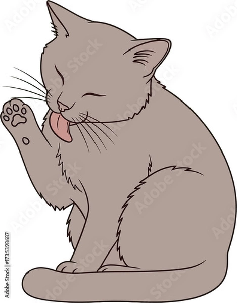 Obraz Cat Licking Paw