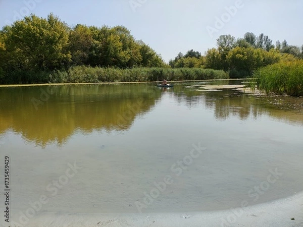 Obraz lake in the forest