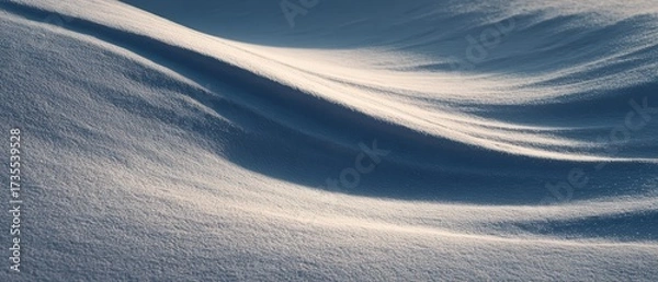 Fototapeta Wide view of smooth snow-covered landscape with gentle wind-created curves and textured surface under soft daylight