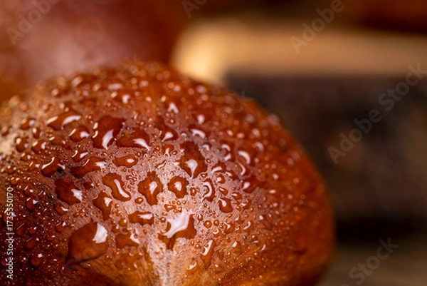 Fototapeta a hard edible chestnut fruit in a brown shell covered with water droplets on a wooden table, close up
